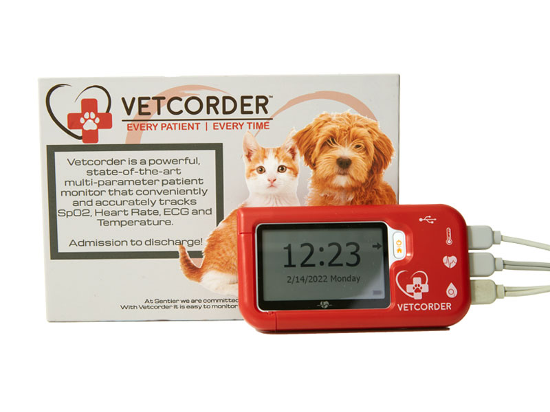 Fotografía de Producto y Contenido para Redes Sociales