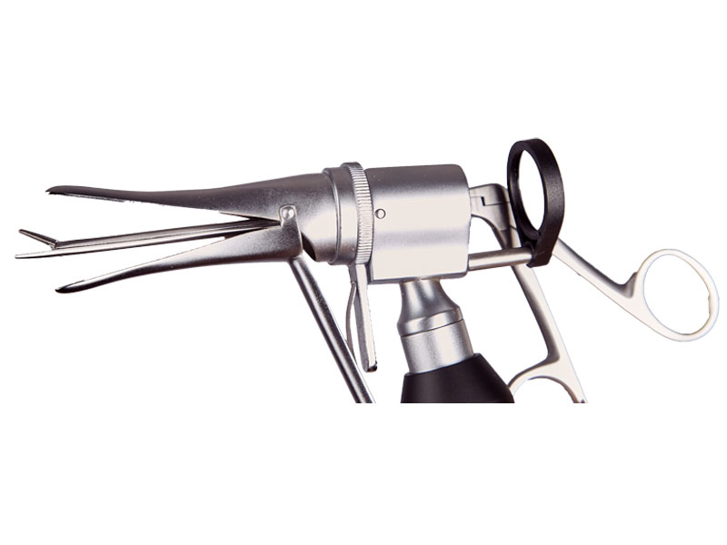 Fotografía de Producto y Contenido para Redes Sociales